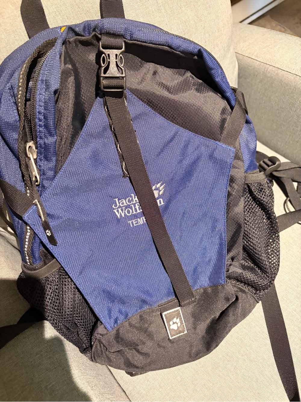 Jack Wolfskin Tempest Backpack – Excellent Condition